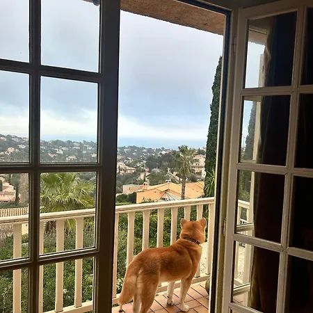 Les Cypres * Roquebrune-sur-Argens